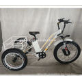 USA Popular Adult Elder Cargo Fat Tire 3 Three Wheels E Tricycle 750W 48V Electric Tricycles 231